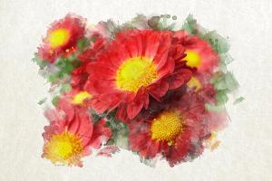 New Chrysanthemum Art